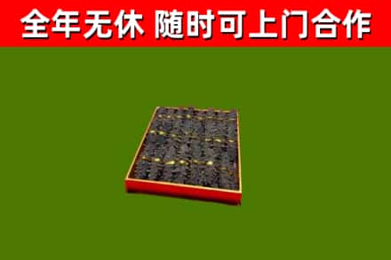 金华市回收海参
